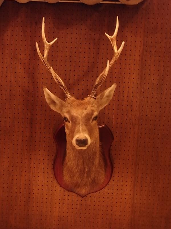 鹿の剥製 頭部 壁掛け - アンティーク/コレクション